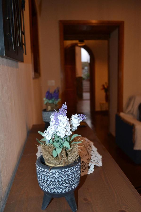 Casa Alamo Agaete Hotel Agaete  Eksteriør billede