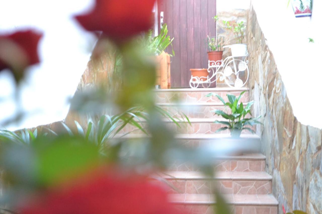 Casa Alamo Agaete Hotel Agaete  Eksteriør billede