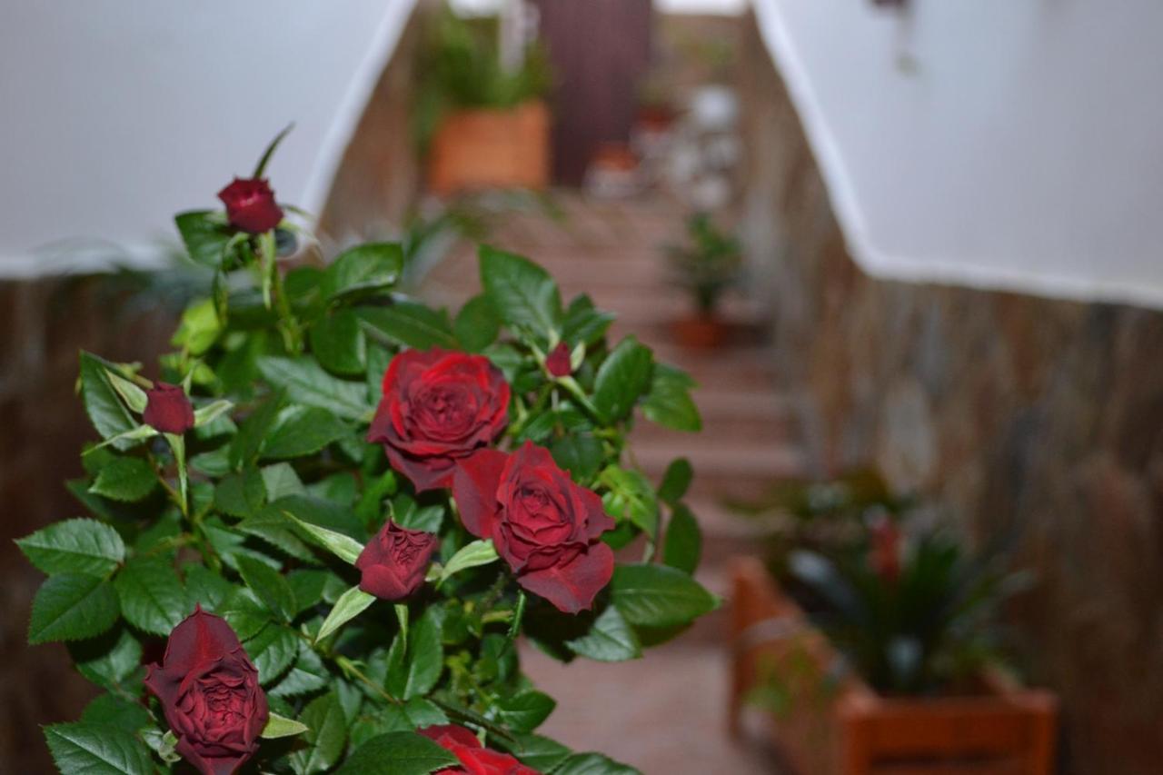Casa Alamo Agaete Hotel Agaete  Eksteriør billede